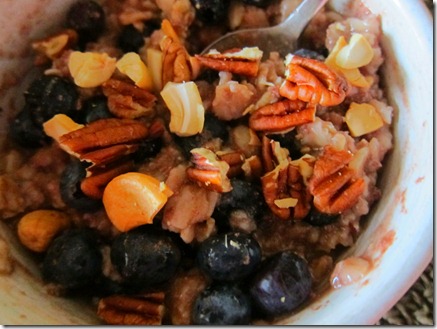 protein oatmeal 005