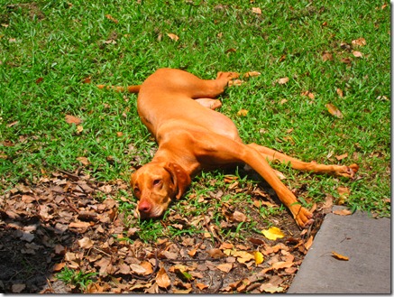 sadie moving 006