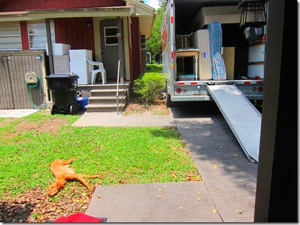 sadie moving 007