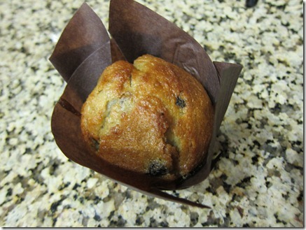 blueberry muffin