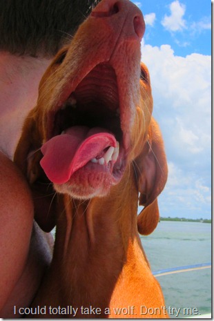 day on the boat 008