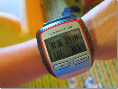 garmin 305 running 001
