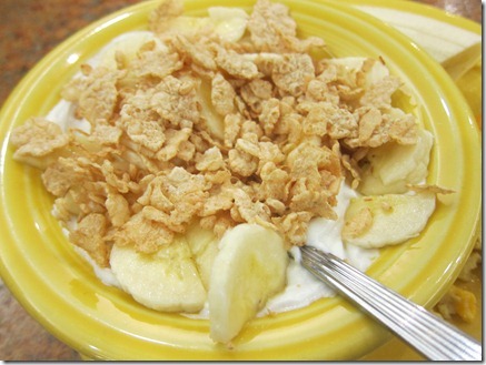 greek yogurt special k 002