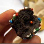 healthy living summit 016