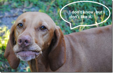 i don;t know