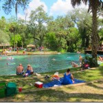 juniper springs 007