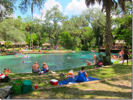 juniper springs 007