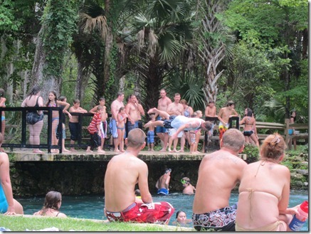 juniper springs 015