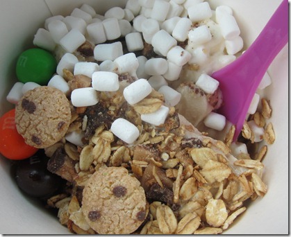 mochi frozen yogurt