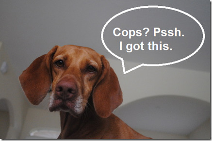 sadie cops