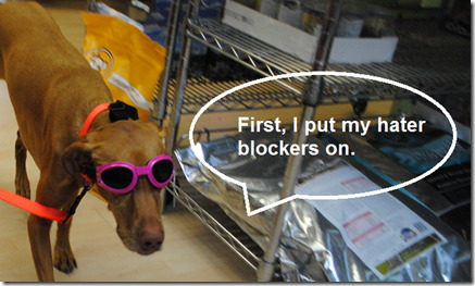 sadie hater blockers