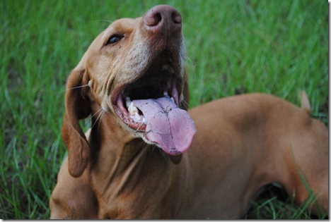 First week in Ocala 120