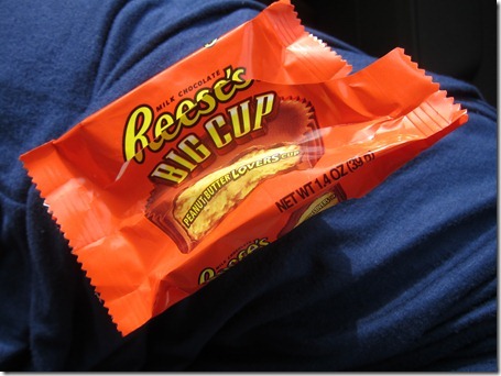 ashley furniture couch 005