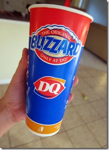 black bean burgers 009