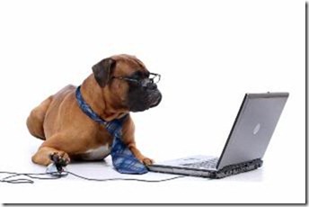 dog computer