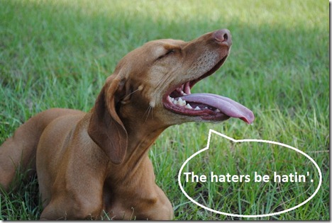 haters be hatin'