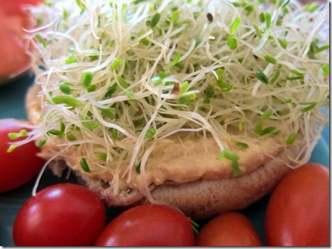 hummus sandwich 003