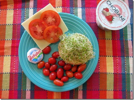 hummus sandwich 005