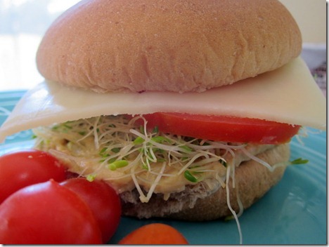 hummus sandwich 007