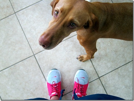 nike shoes pink gray 008
