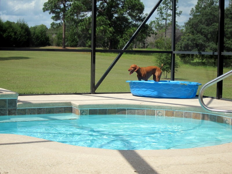 backyard kiddie pool
