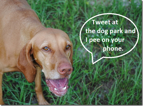pee on phone