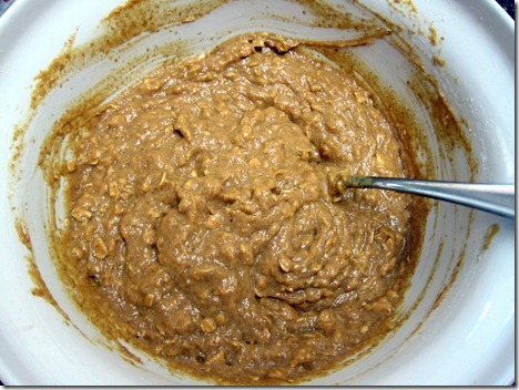 pumpkin oatmeal muffins 034