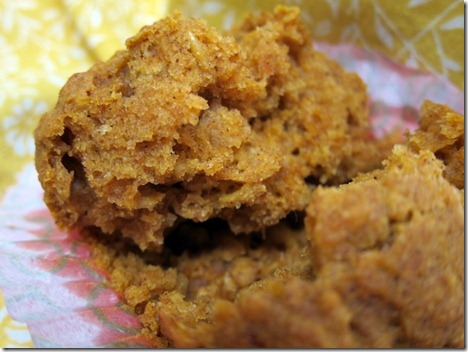 pumpkin oatmeal muffins 046