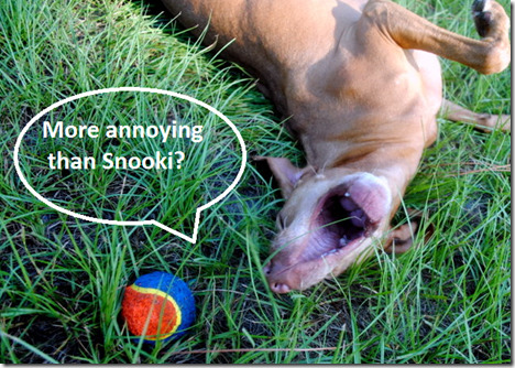 sadie snooki