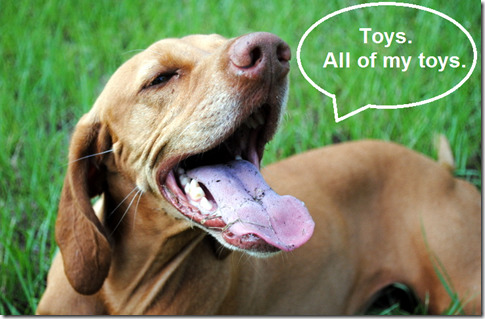 sadie toys