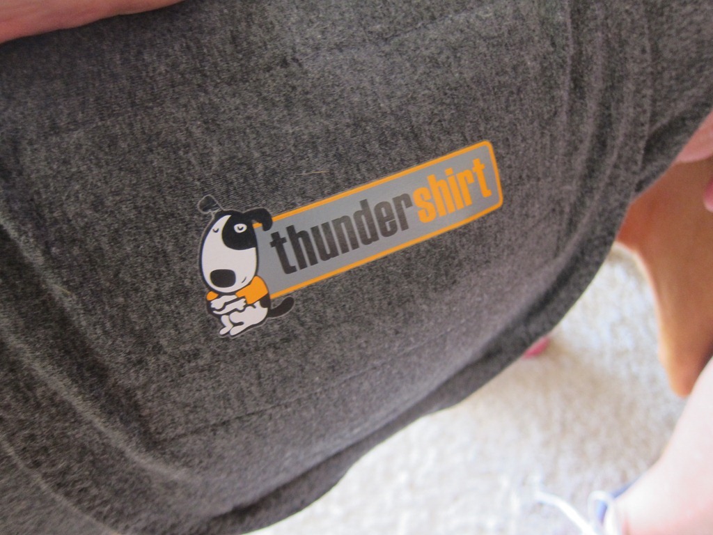 kong thundershirt