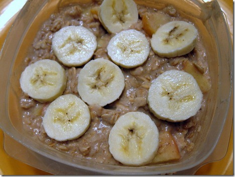apple cinnamon oatmeal 009