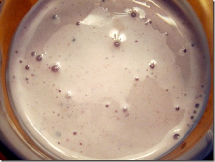 blueberries whipped cream 007