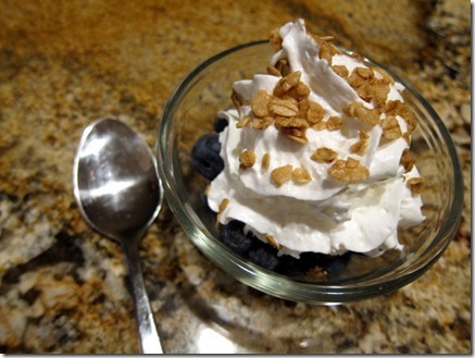 blueberries whipped cream 009