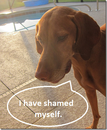 holding head in shame