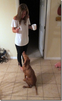 la cuisine ocala 011