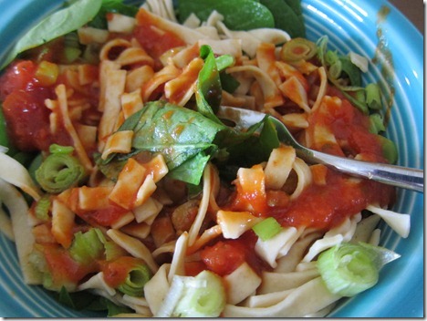 noodle bowl 009
