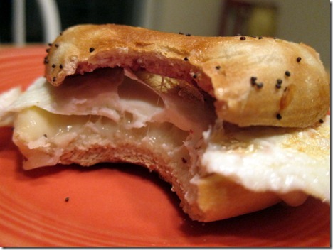 onion bagel sandwich 004