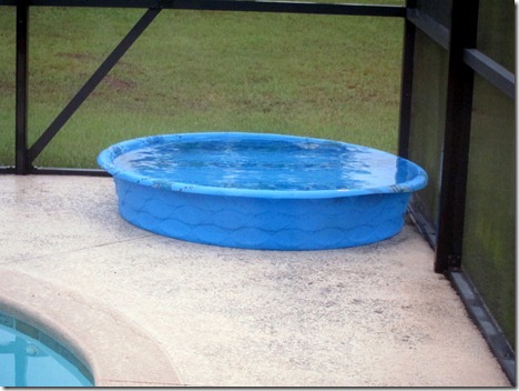 pumpkin butter pancakes 039