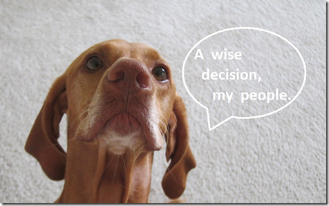 wise decision