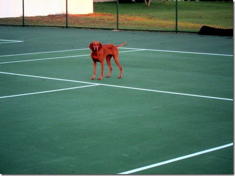 butternut squash wheat berry risotto 014
