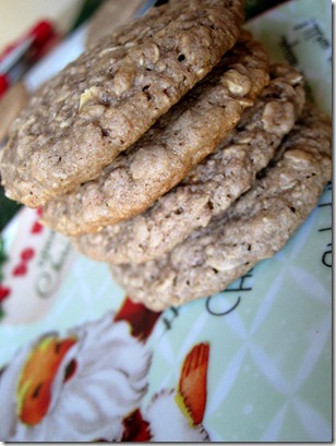 cocoa oatmeal cookies 051