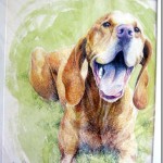 dog print 005