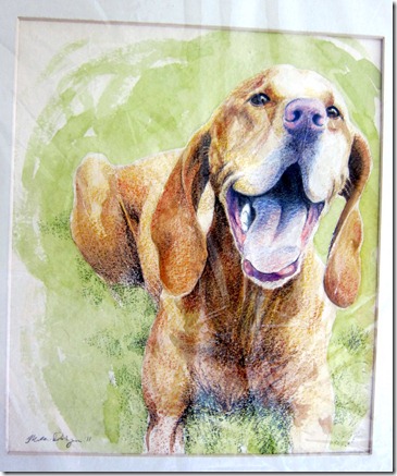 dog print 005