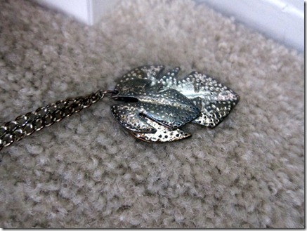 jewelry clean up 016