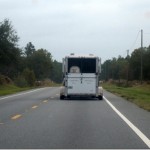 savannah rock 'n' roll half marathon 066