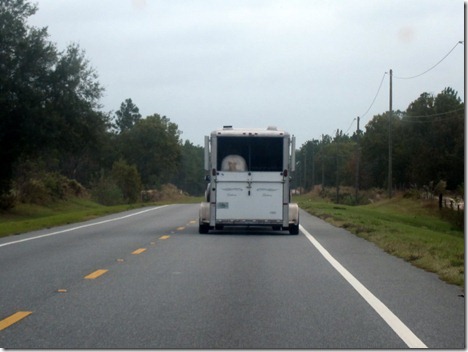 savannah rock 'n' roll half marathon 066