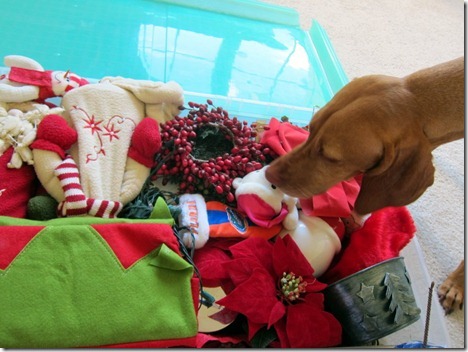 thanksgiving 2011 173