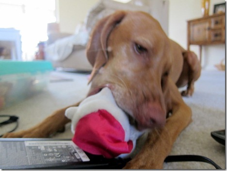 thanksgiving 2011 183