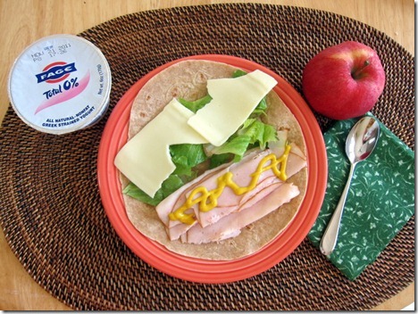 turkey wrap 002